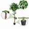 5.5-Feet Artificial Ficus Silk Tree Wood Trunks Green Indoor Yard Home Décor